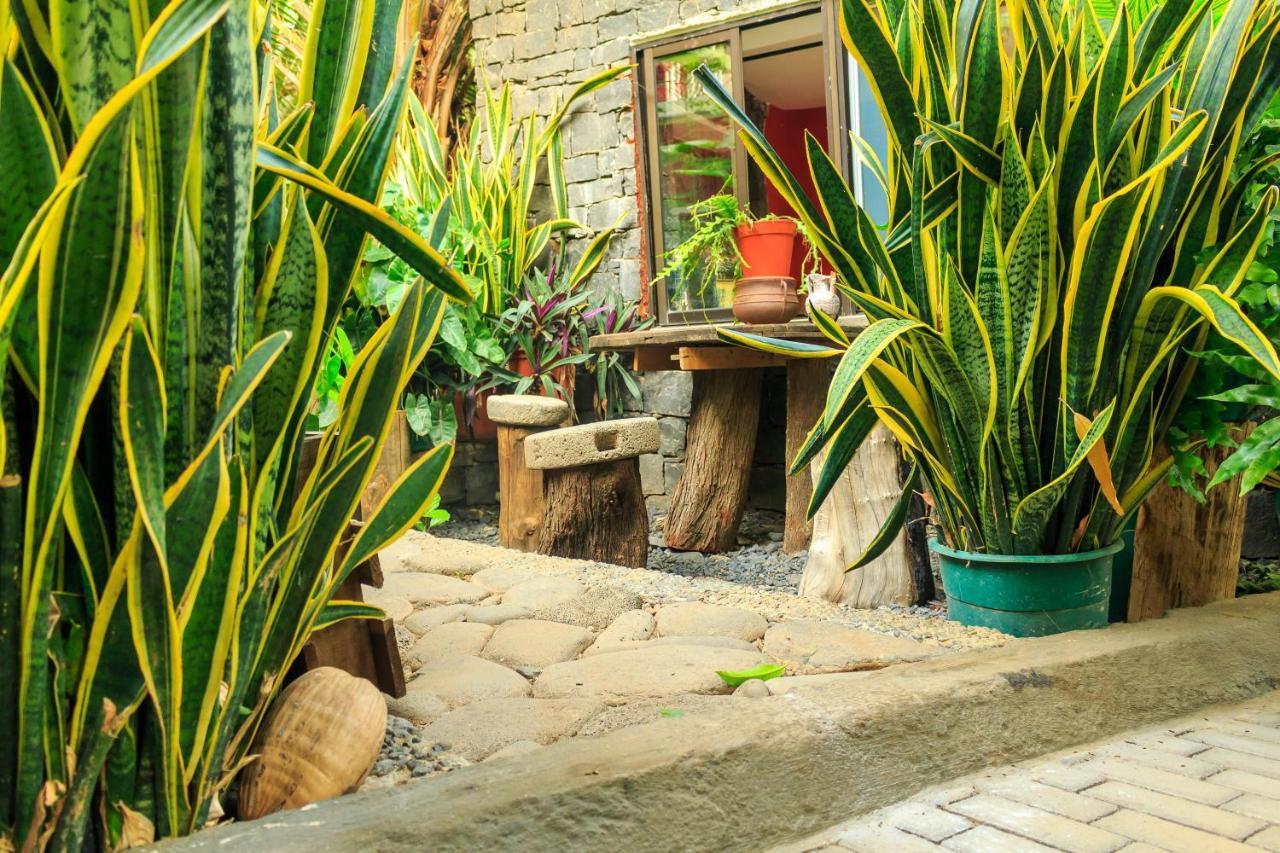 Pousada Quinta Ribeirinha Cidade Velha Экстерьер фото