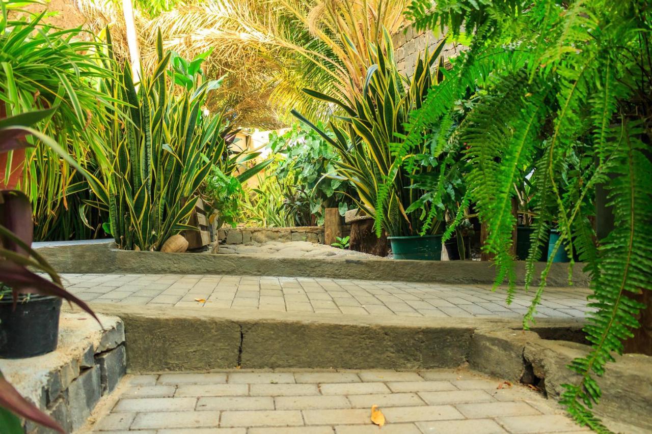 Pousada Quinta Ribeirinha Cidade Velha Экстерьер фото